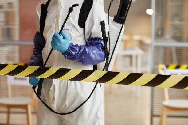 Professional Sewage Cleanup technician working in Reno, TX